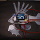 The interior components of the soft robotic fish.